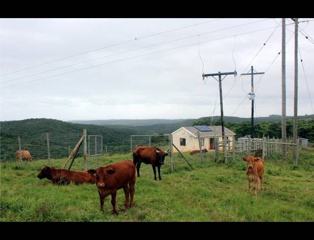 168HA FARM FOR SALE IN EAST LONDON RURAL